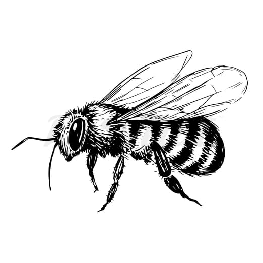 Standing Bee - Temporary Tattoo