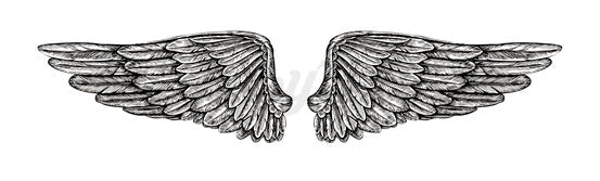 Wings - Temporary Tattoo