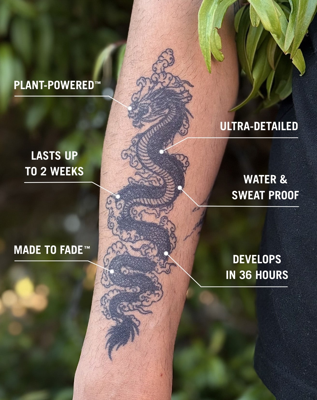 Japanese Wave Garden Semi-Permanent Tattoo | EasyTatt™