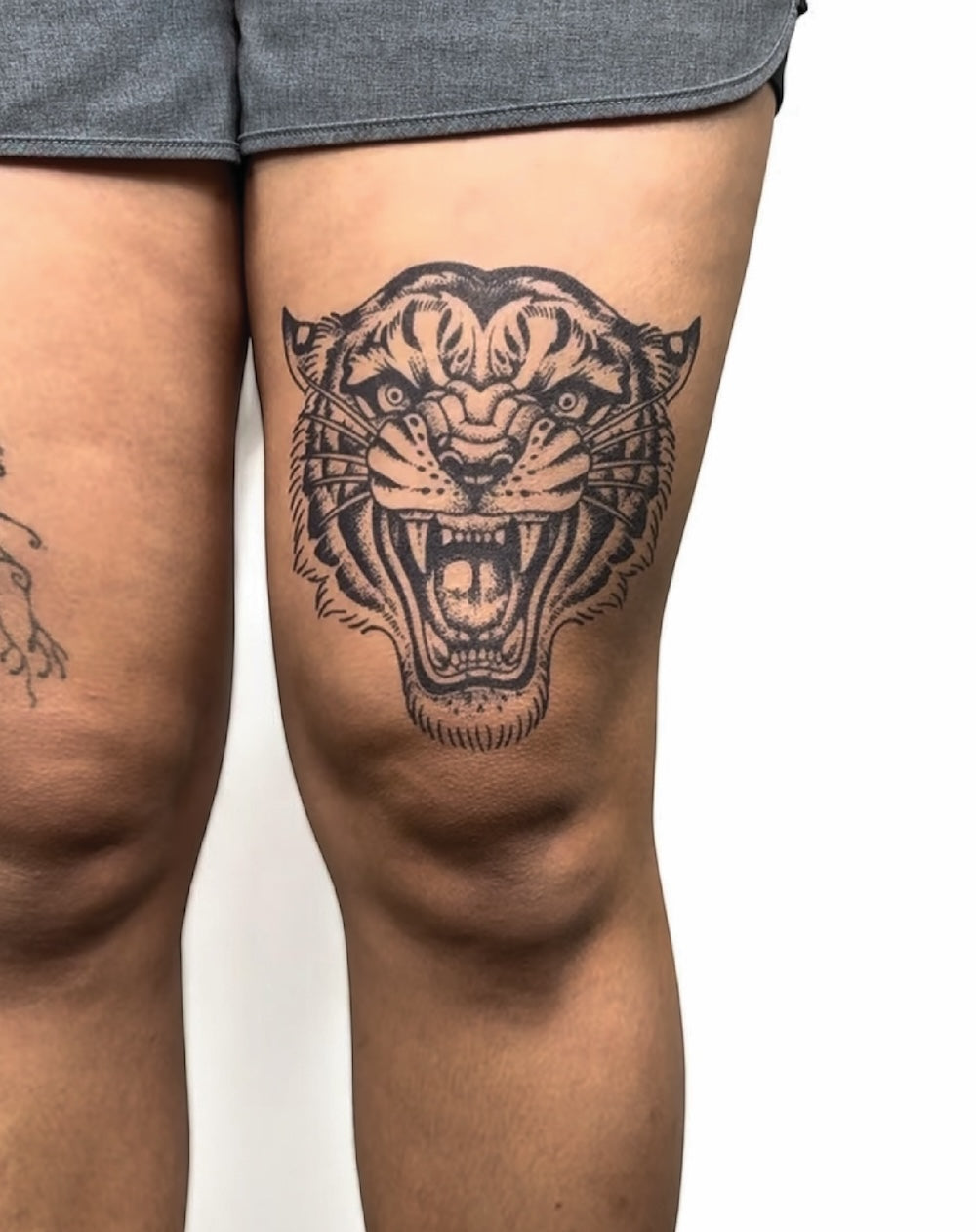 Traditional Tiger
