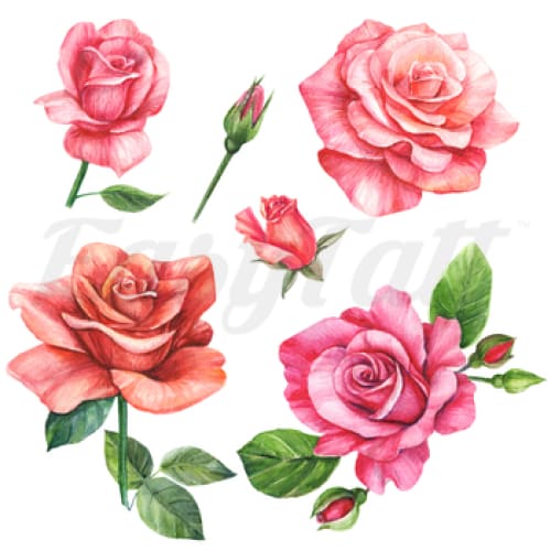 Watercolour Roses - Temporary Tattoo