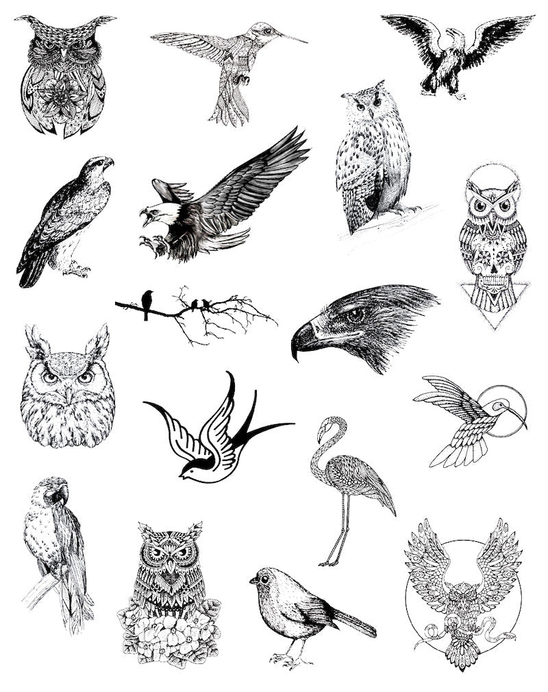 (17 Tattoos) Bird Watch