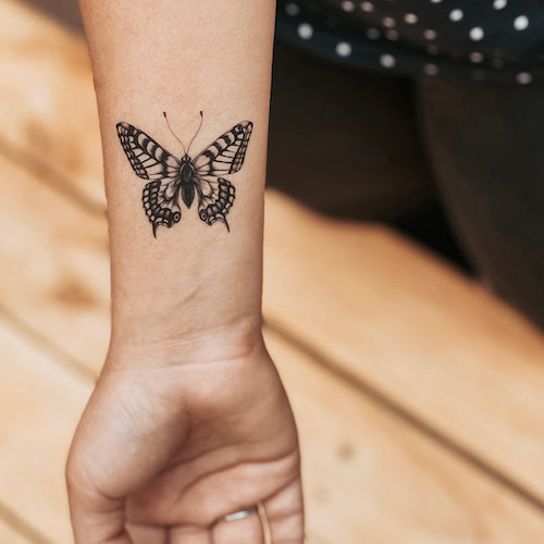(FREE) Beautiful Butterfly