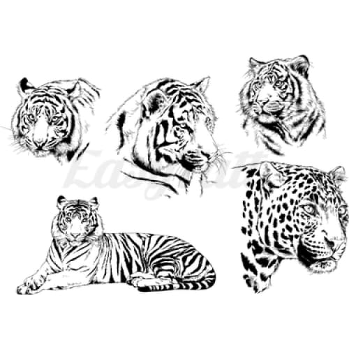 Big Cats Collection - Temporary Tattoo