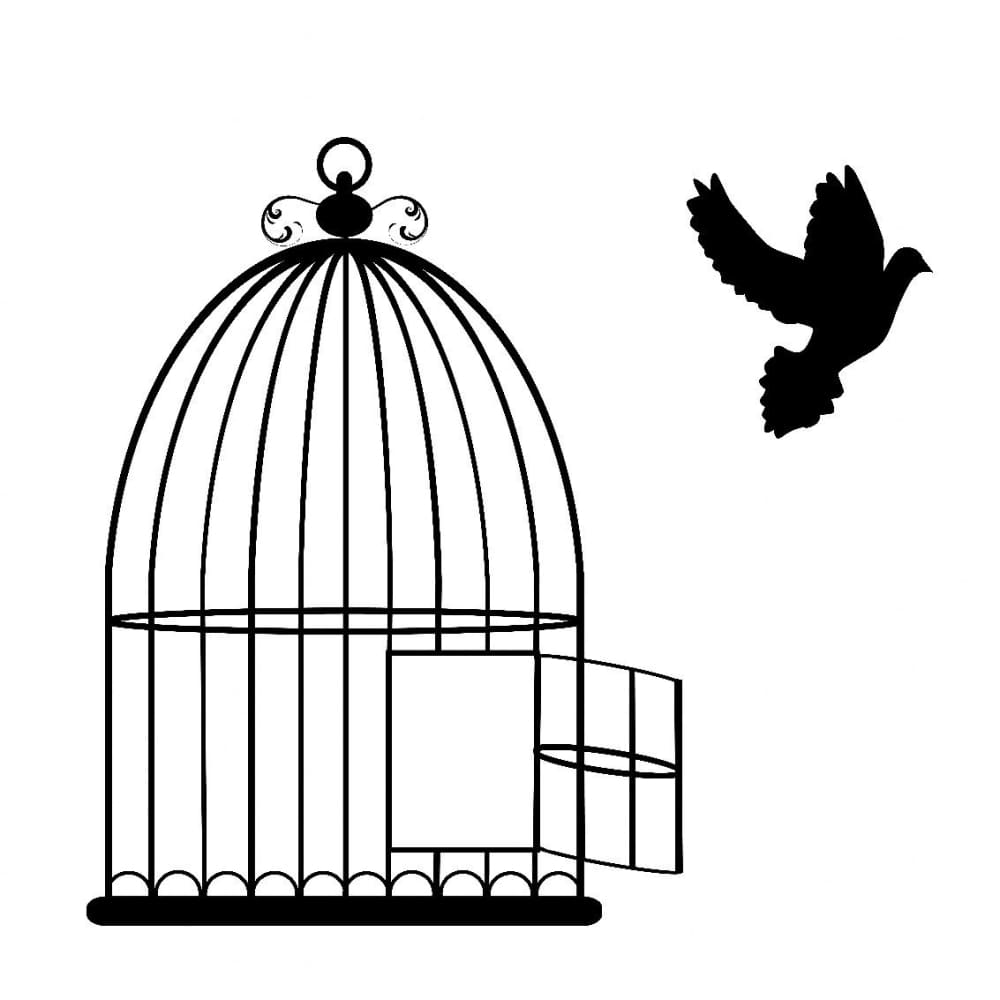 Birdcage - Temporary Tattoo