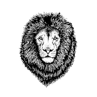 Black Mane Lion - Temporary Tattoo