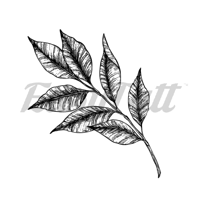 Black Shaded Leaves - Temporary Tattoo