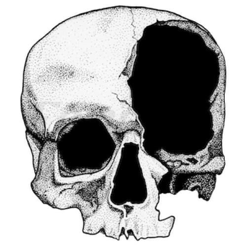 Broken Skull - Temporary Tattoo