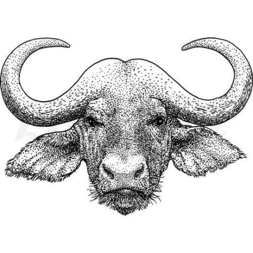 Buffalo - Temporary Tattoo