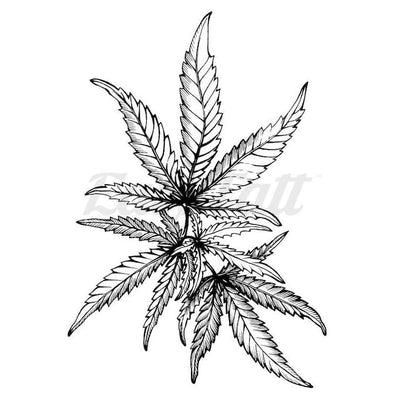 Cannibis Leaves - Temporary Tattoo