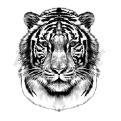 Classic Tiger - Temporary Tattoo