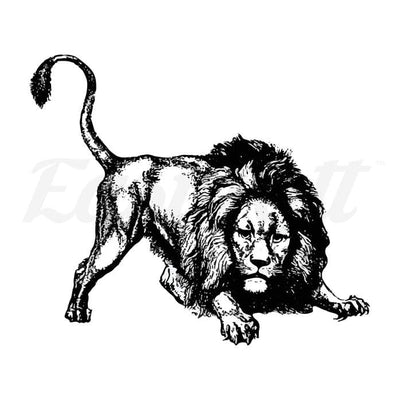 Defensive Lion - Temporary Tattoo