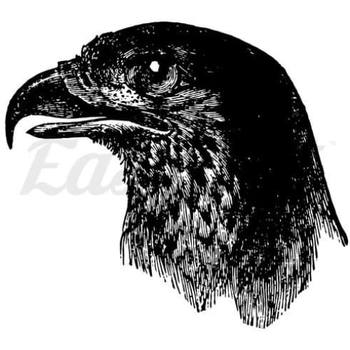 Falcon - Temporary Tattoo