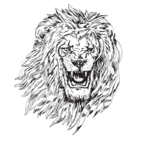 Fierce Lion - Temporary Tattoo