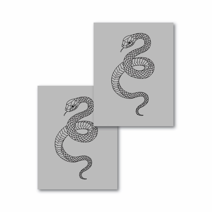Geometric Snake