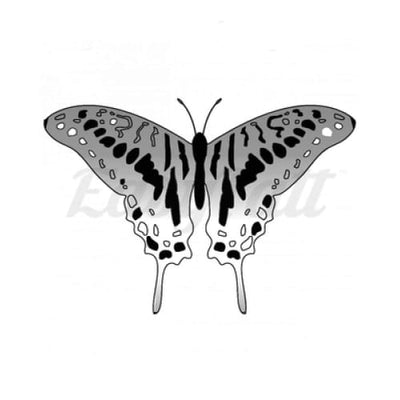 Gray Butterfly - By Jen - Temporary Tattoo