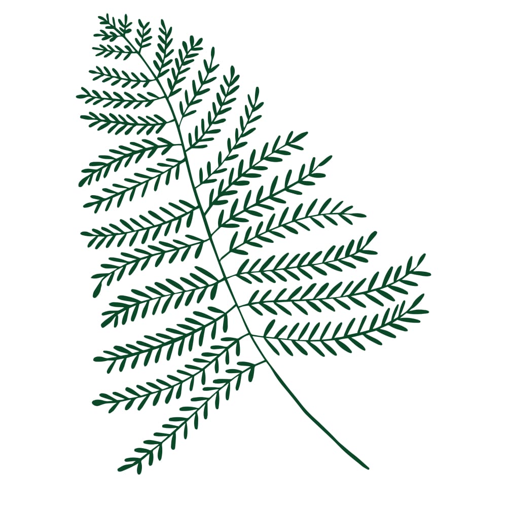 Green Branch - By Eastern Cloud - Temporary Tattoo