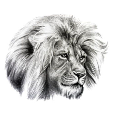 Handsome Lion - Temporary Tattoo