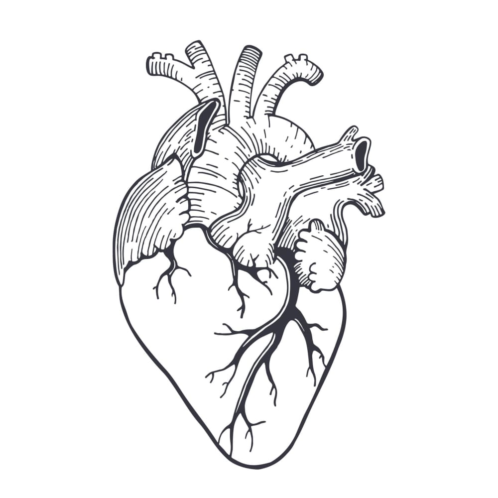 Heart - Temporary Tattoo