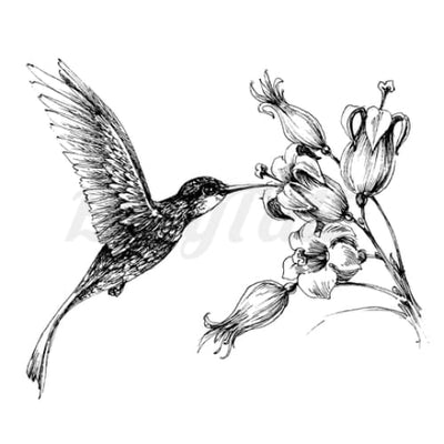 Humming Bird and Flowers - Temporary Tattoo