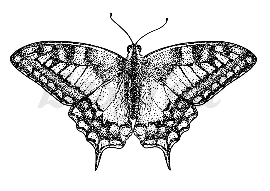 Blackwork Butterfly # 2