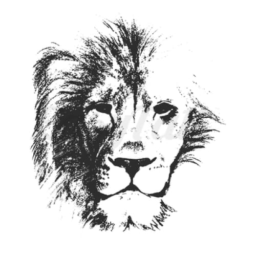 Lion Shadows - Temporary Tattoo