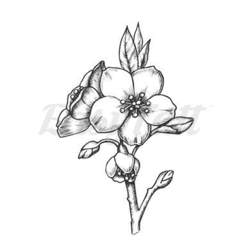 Magnolia Flower - Temporary Tattoo