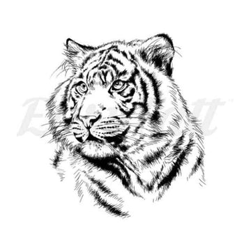 Majestic Tiger - Temporary Tattoo