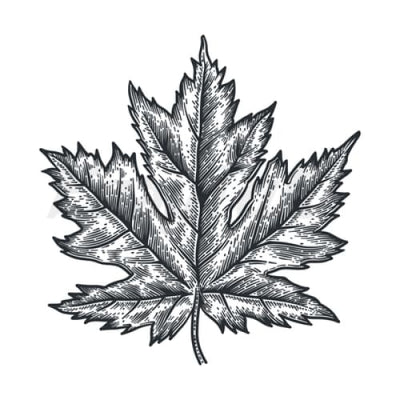 Maple Leaf - Temporary Tattoo