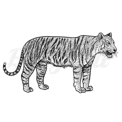 Observing Tiger - Temporary Tattoo