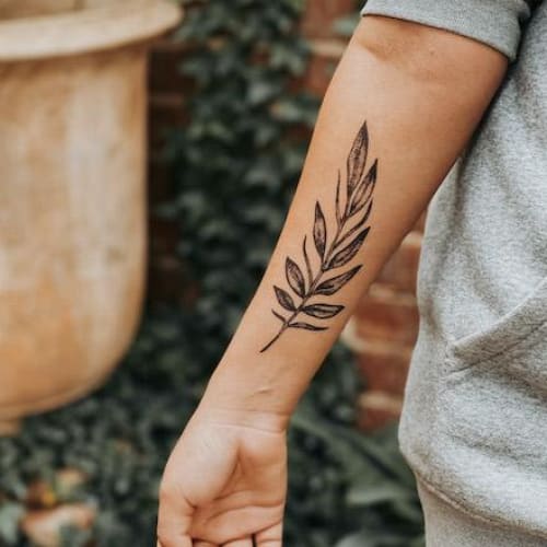 Olive Branch - Temporary Tattoo