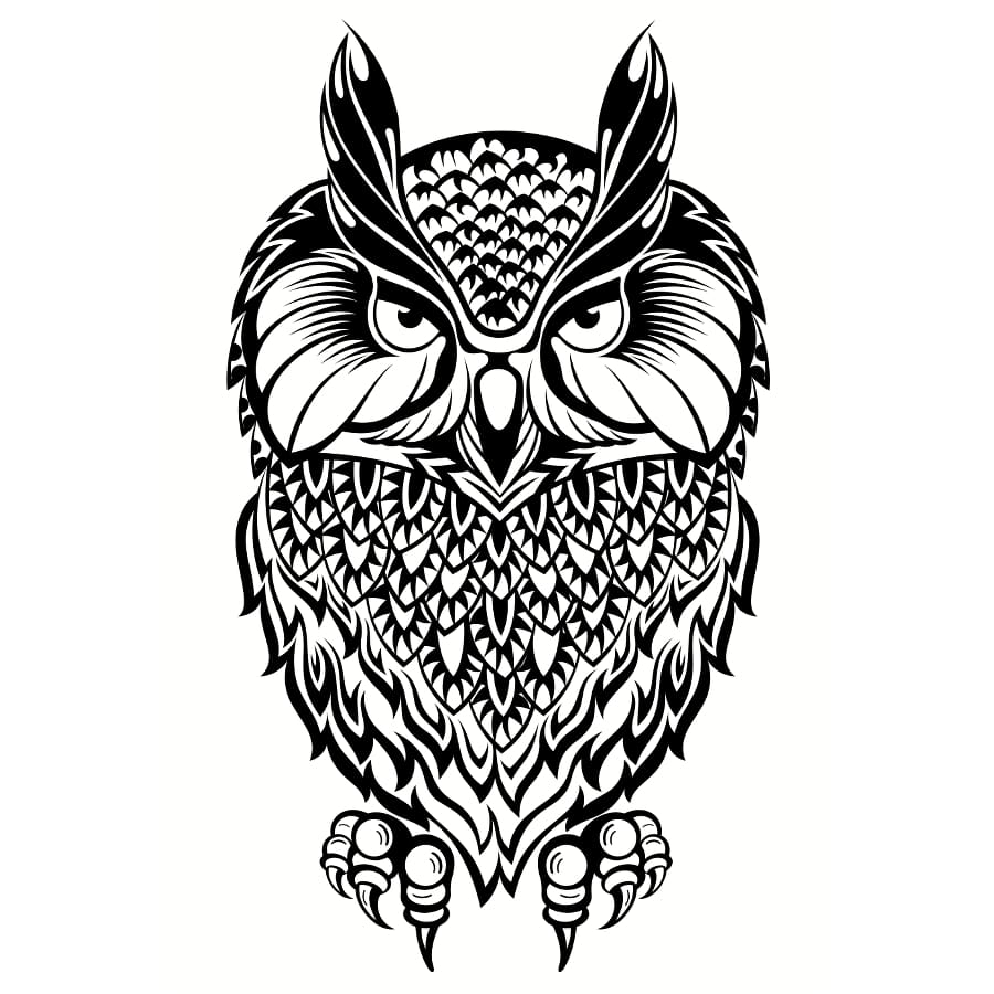Owl - Free