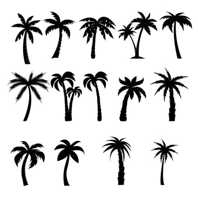 Palm Tree Collection - Temporary Tattoo
