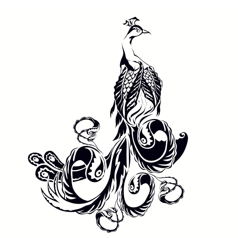 Peacock - Temporary Tattoo