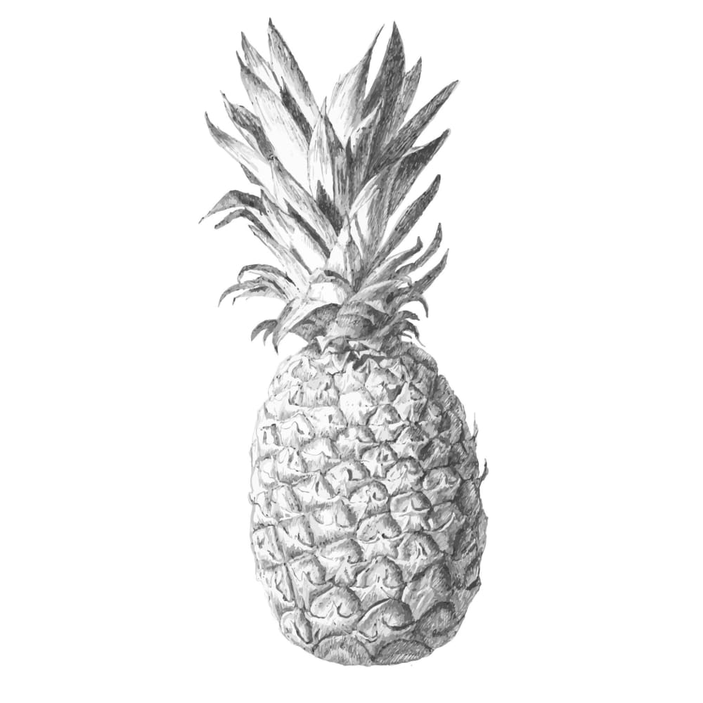 Pineapple - Tattoo