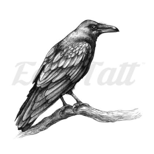Raven / Crow - Temporary Tattoo