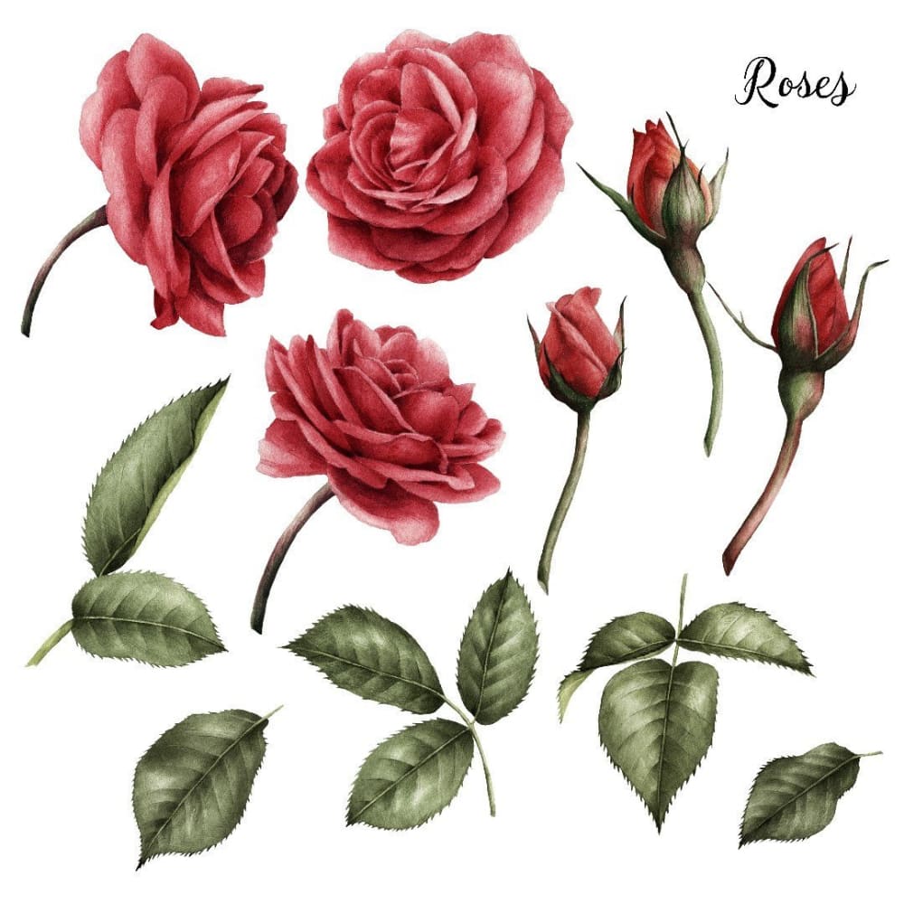 Red Rose Set - Temporary Tattoo