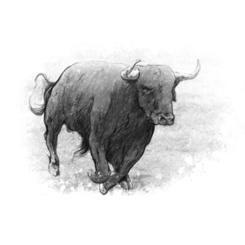 Running Bull - Temporary Tattoo