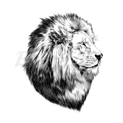Side Facing Lion - Temporary Tattoo