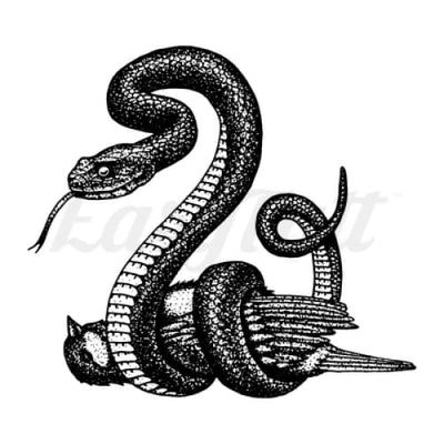 Snake and Bird - Temporary Tattoo