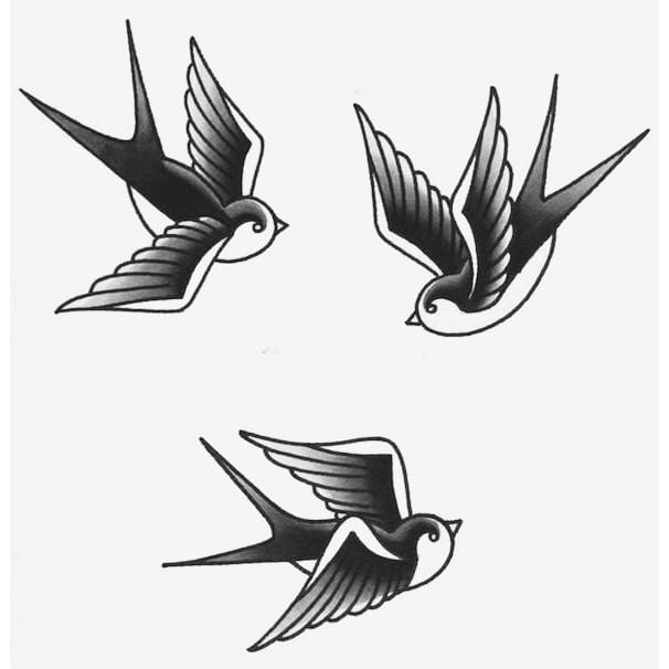 Swallows - Tattoo