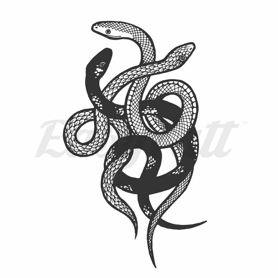 Tangled Snakes - Temporary Tattoo