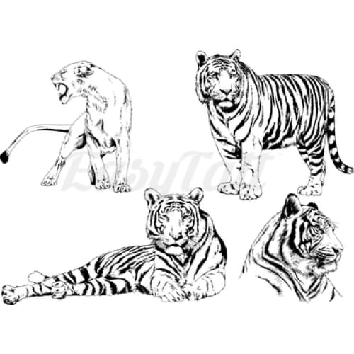 Tigers - Temporary Tattoo