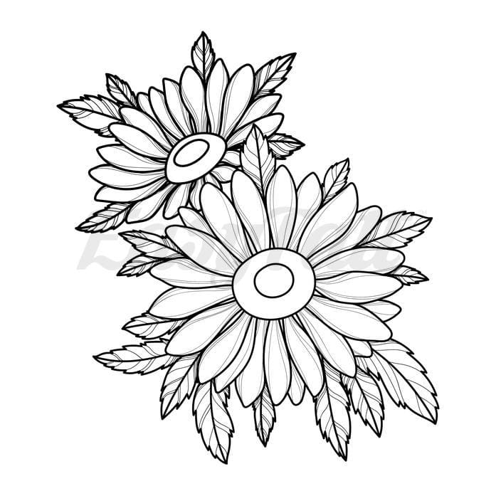 Two Daisies - Temporary Tattoo