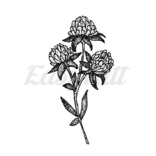 Warratah Flowers - Temporary Tattoo