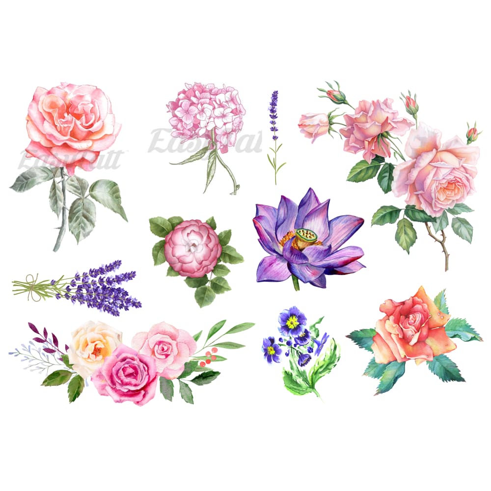 Watercolour Floral Set - Temporary Tattoo