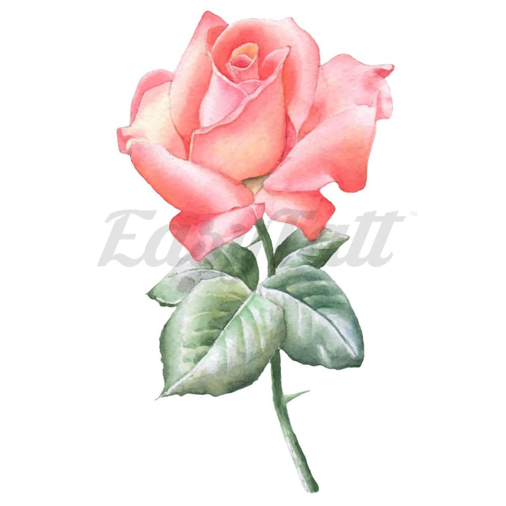 Watercolour Rose - Temporary Tattoo