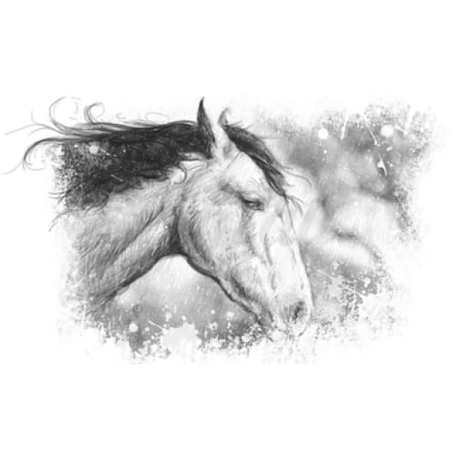 Wild Horse - Temporary Tattoo