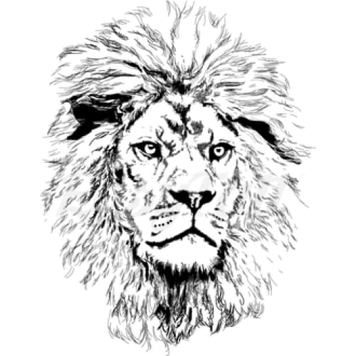 Wild Lion - Temporary Tattoo